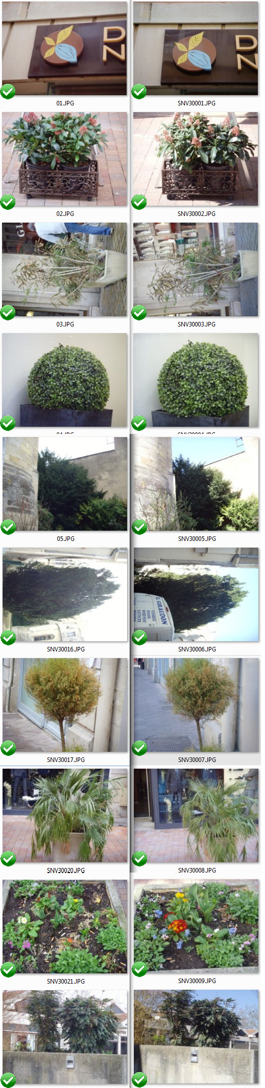 concours_photo.jpg concours_photo.jpg